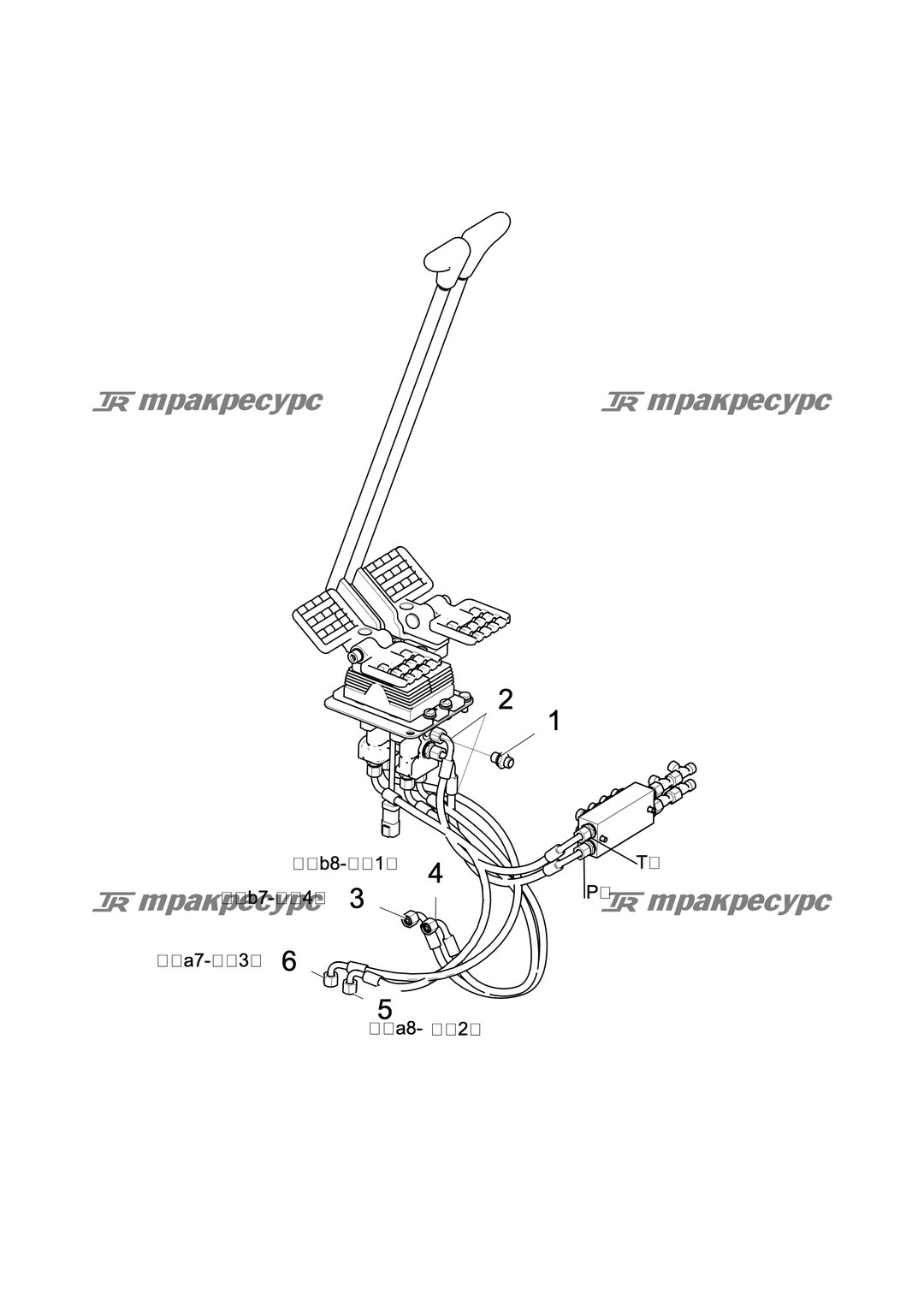 P000049042A2.png