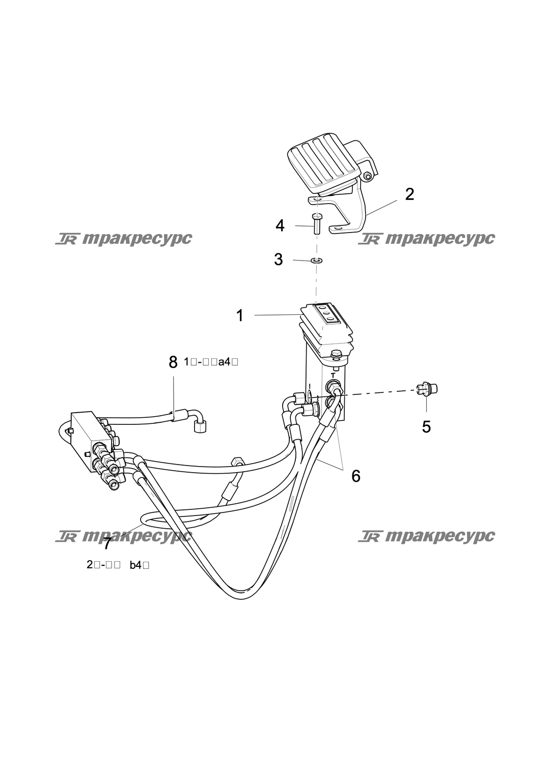 P000049062A2.png