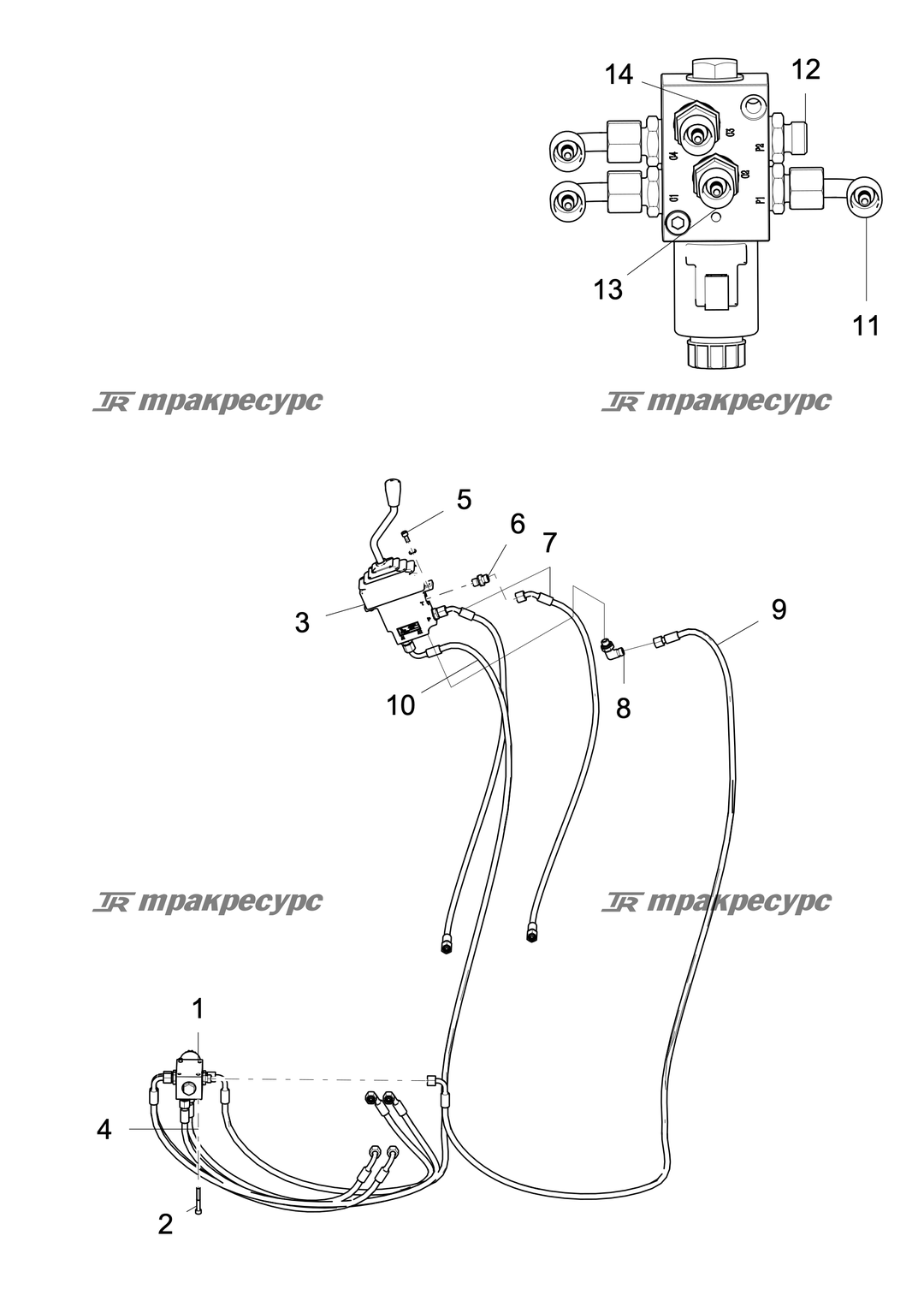 P000049082A2.png