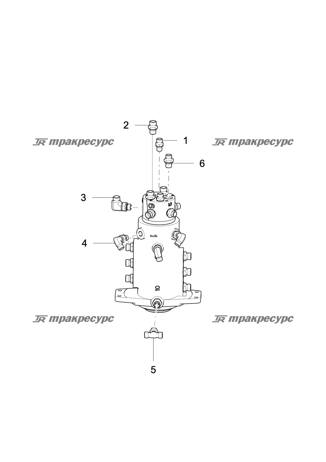 P000049142A2.png