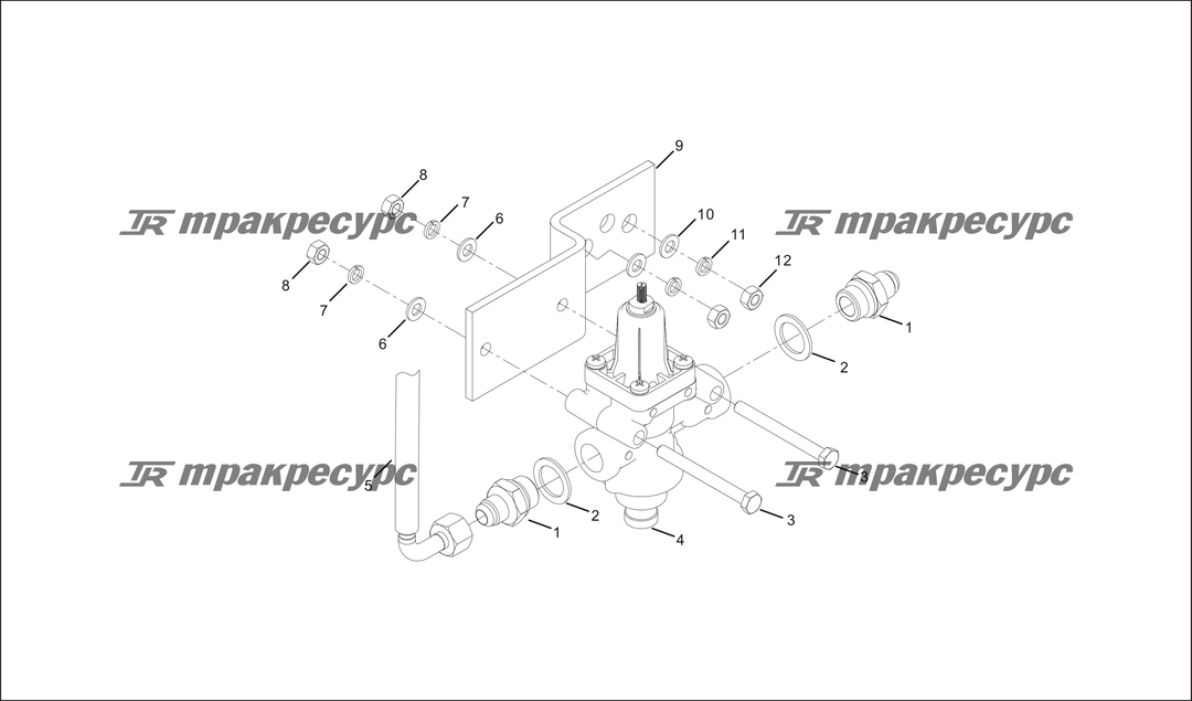 P000049.png