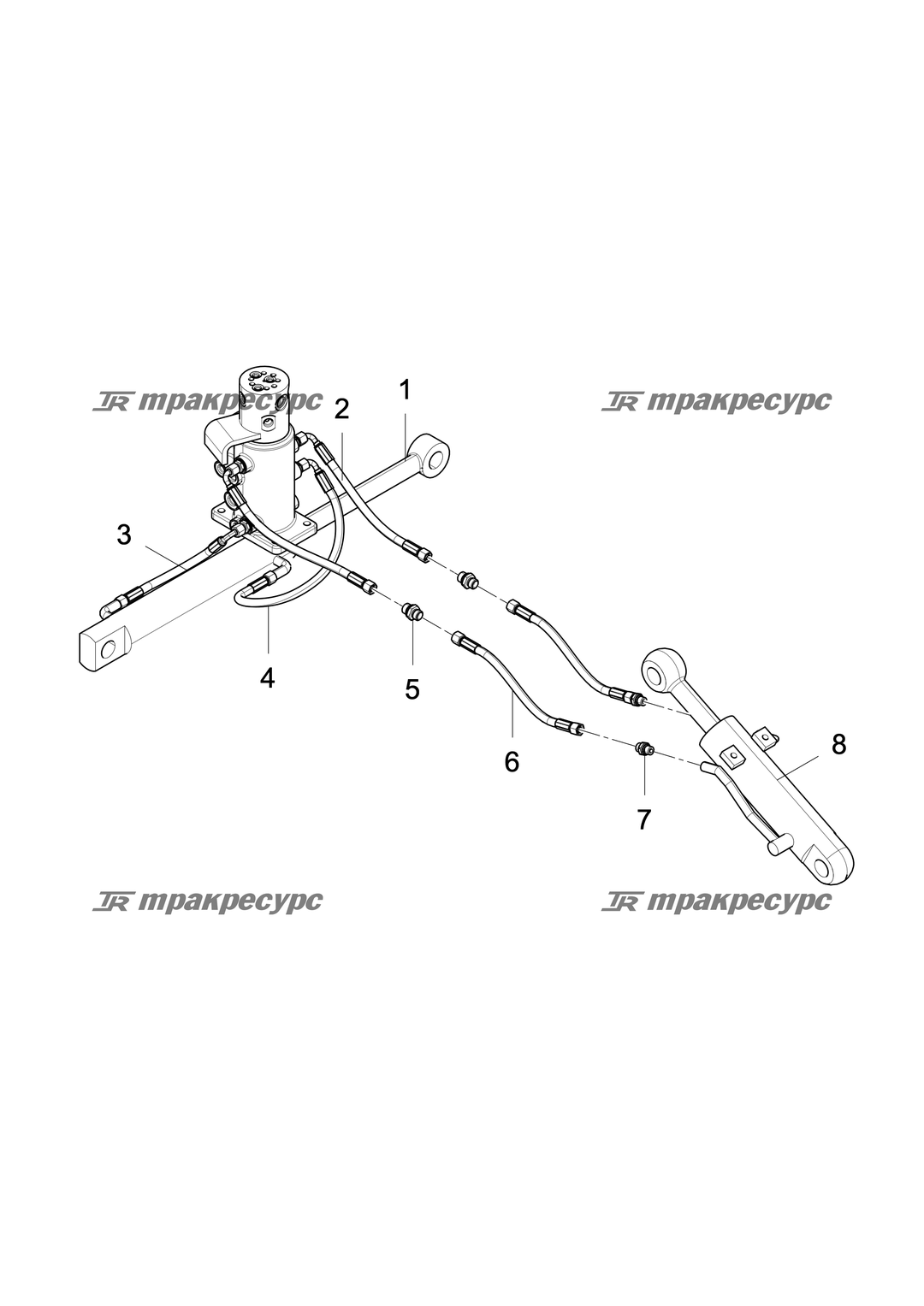 P000051142A2.png