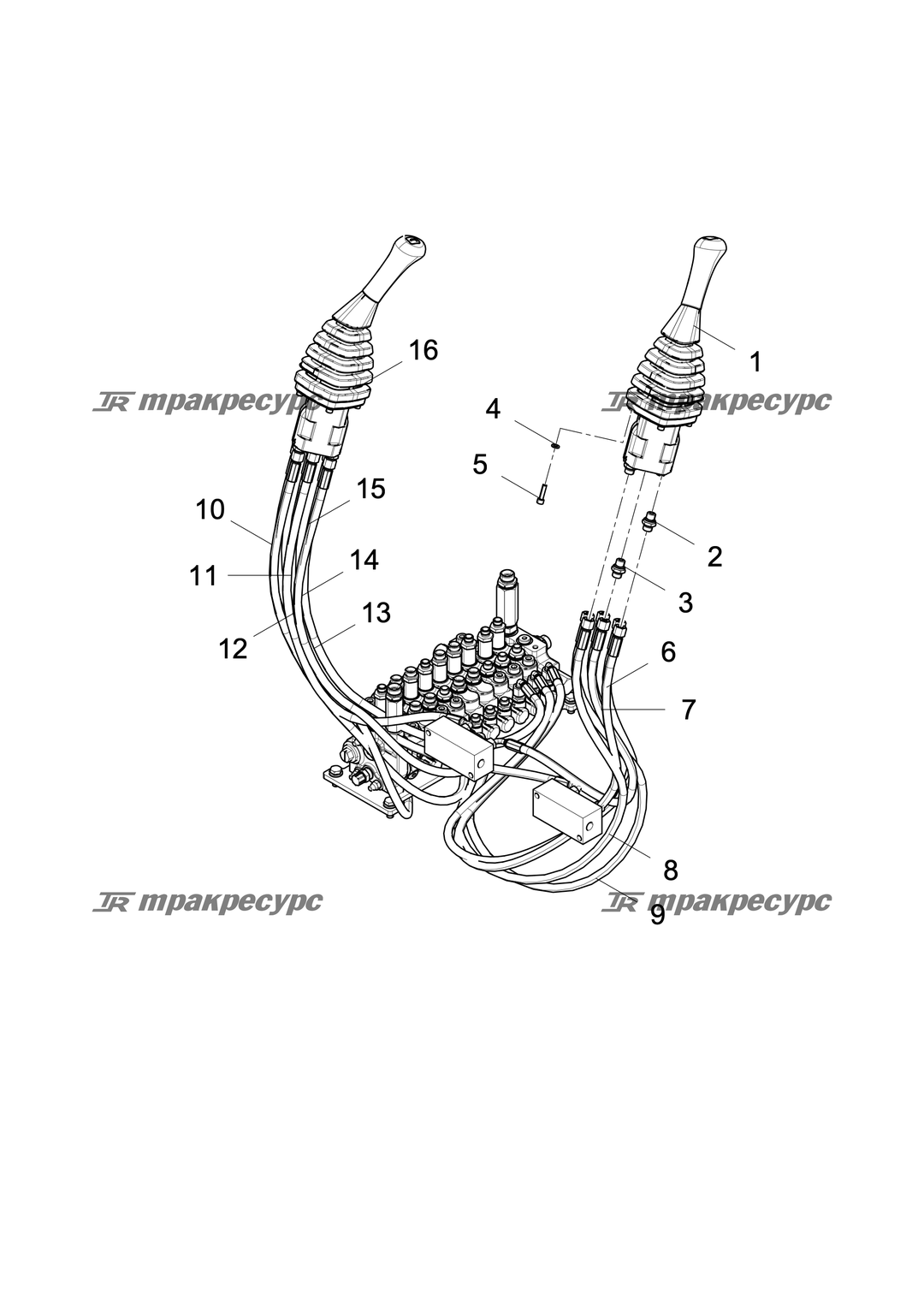 P000051162A2.png