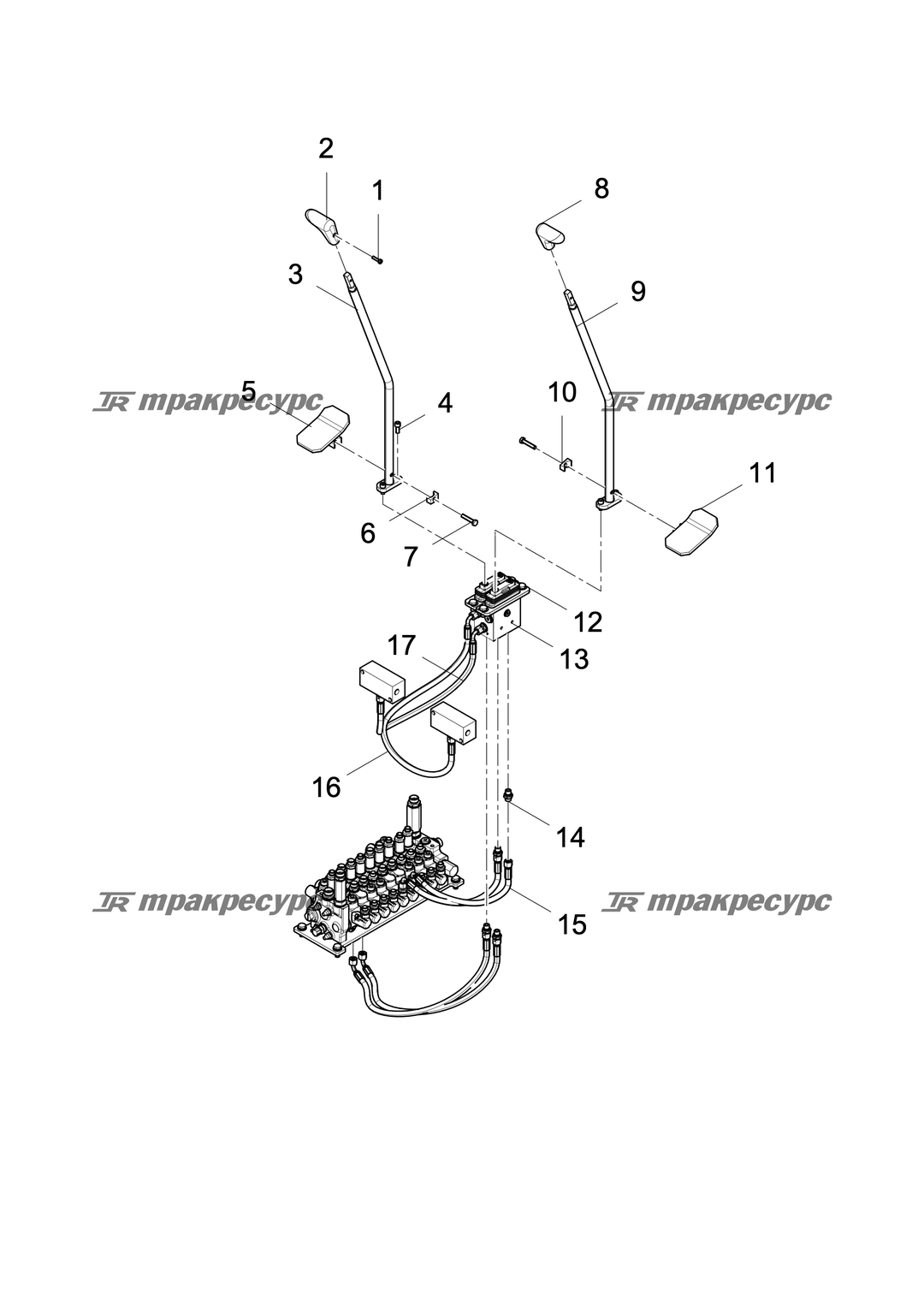 P000051182A2.png