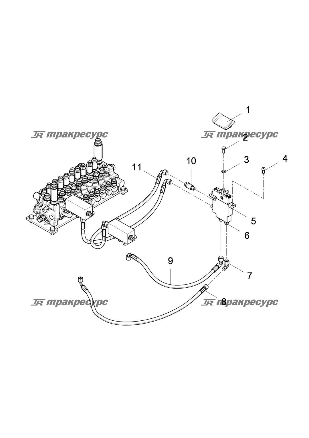 P000051262A2.png