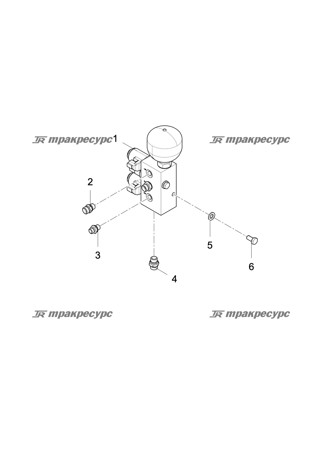 P000051282A2.png