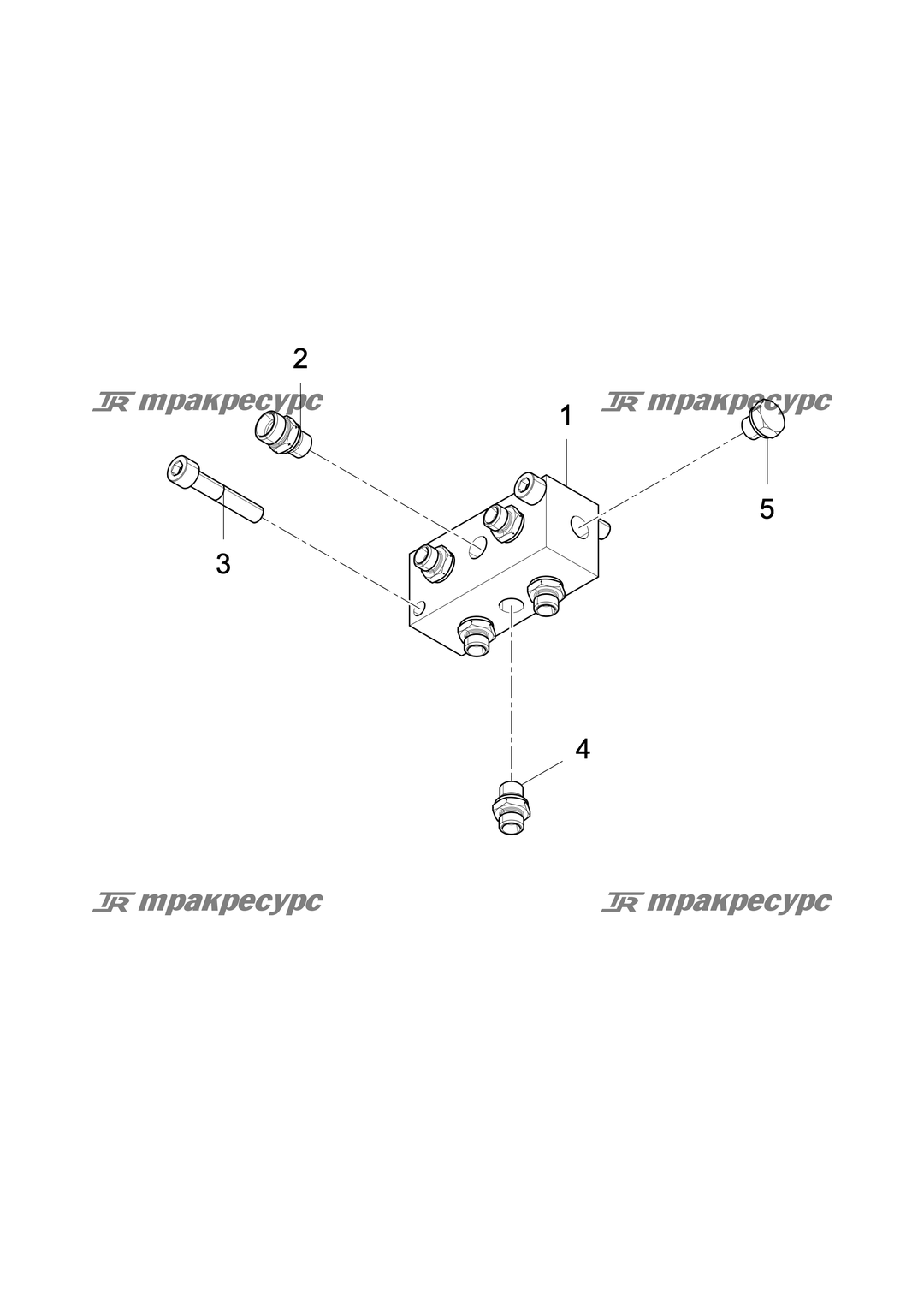 P000051302A2.png