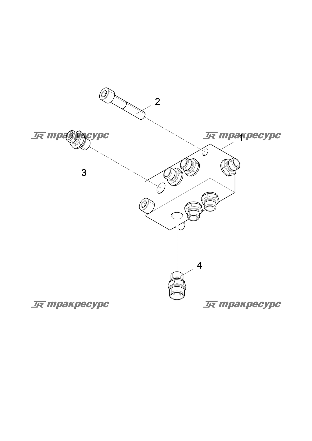 P000051322A2.png