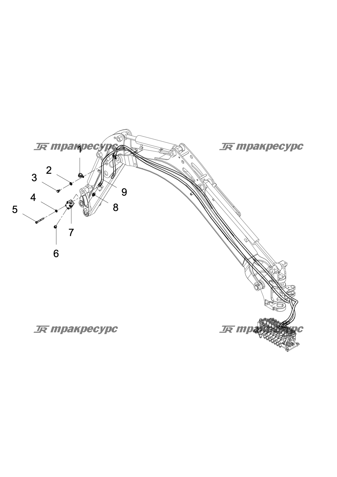 P000051342A2.png