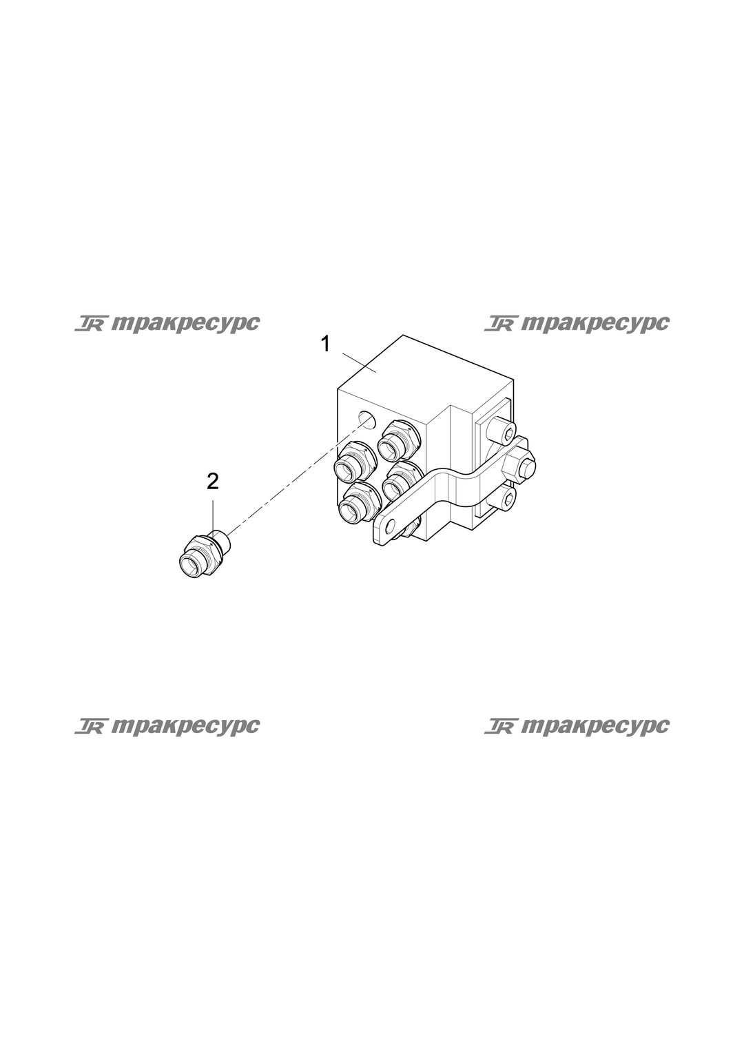 P000051442A2.png
