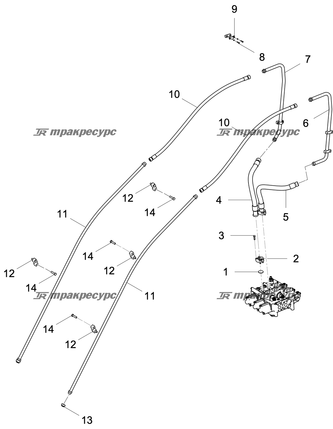 P000051542A2.png