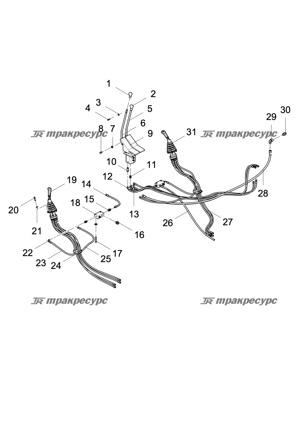 P000053802A2.png
