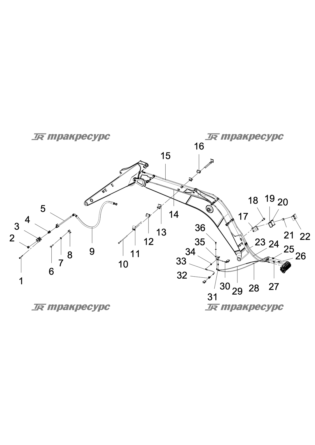 P000053822A2.png