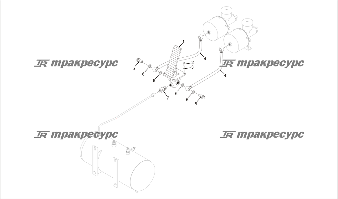P000053.png