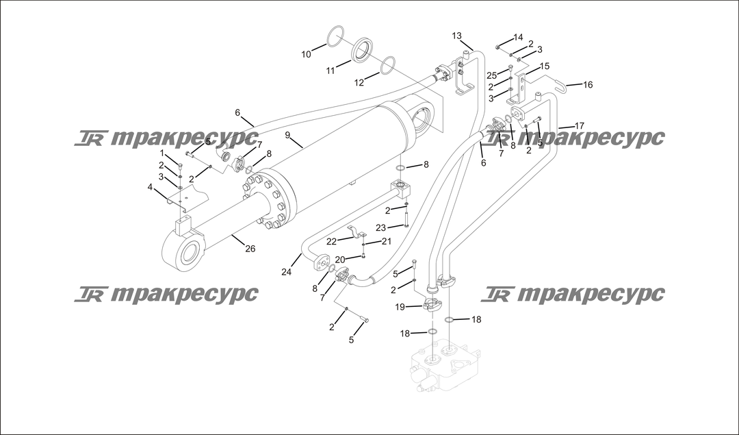 P000053.png