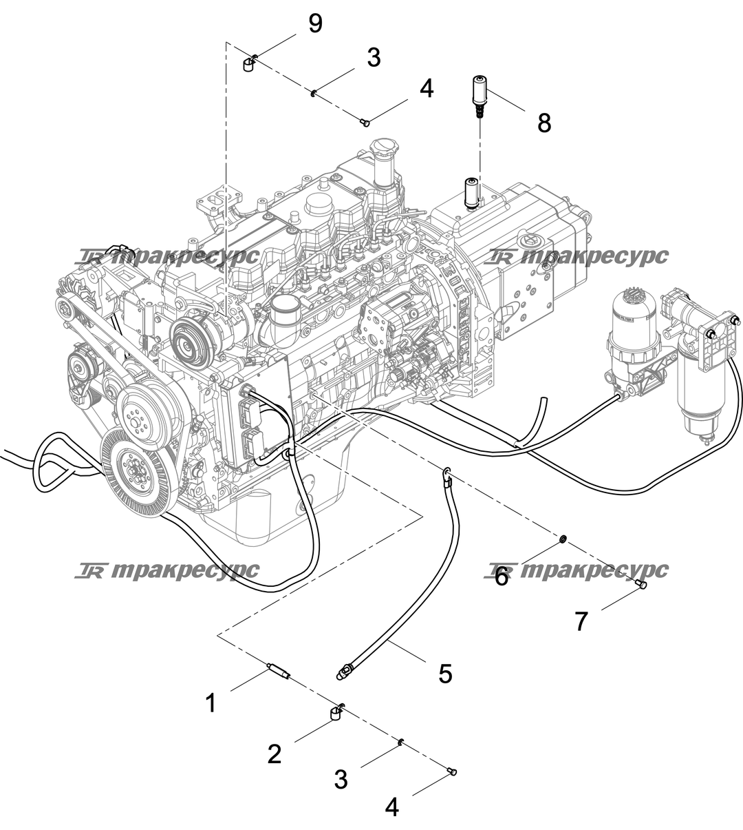 P000055484A2.png