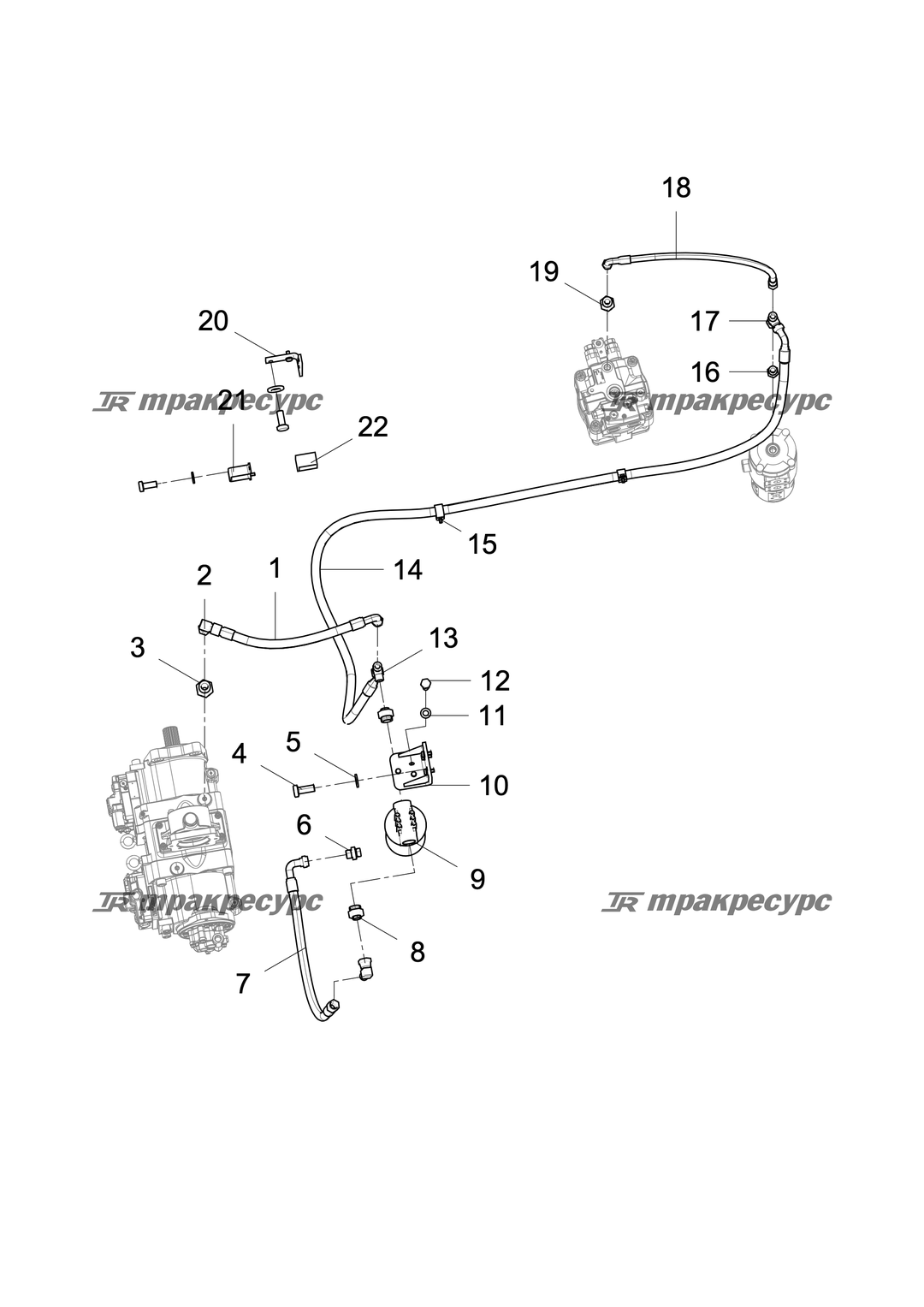 P000055542A2.png
