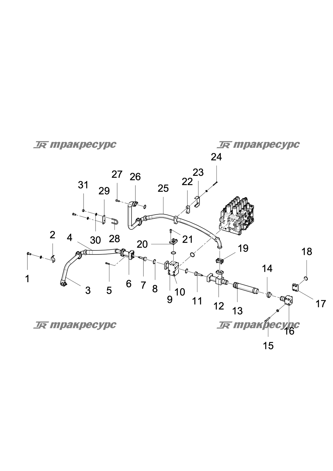 P000055544A3.png