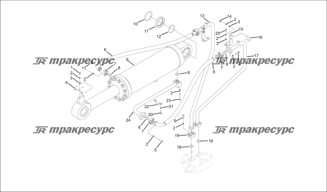 P000055.png