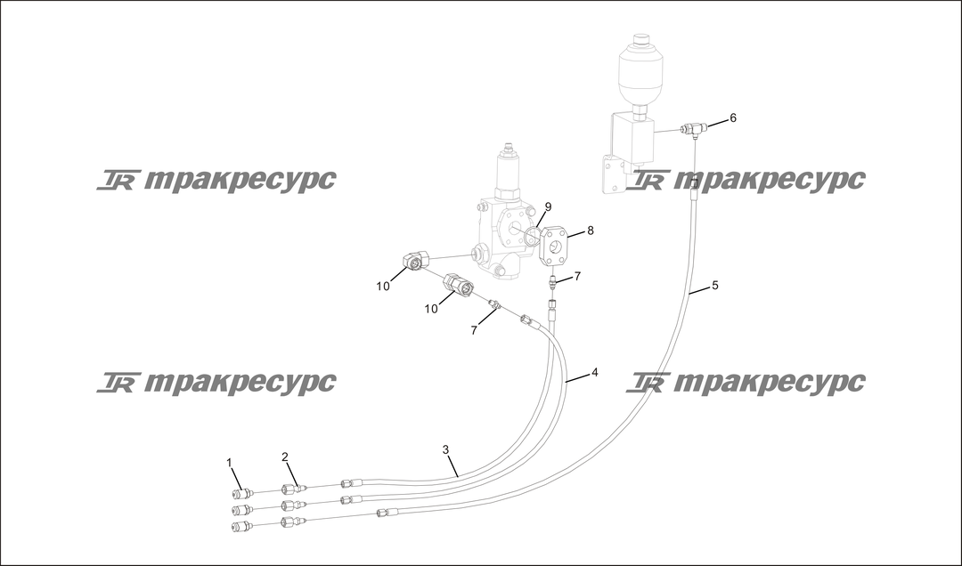 P000055.png