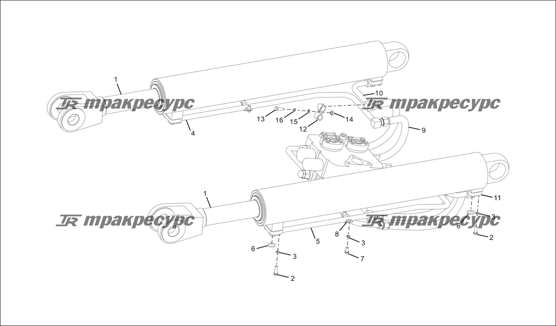 P000055.png
