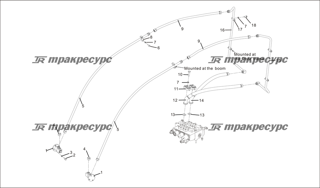 P000055.png