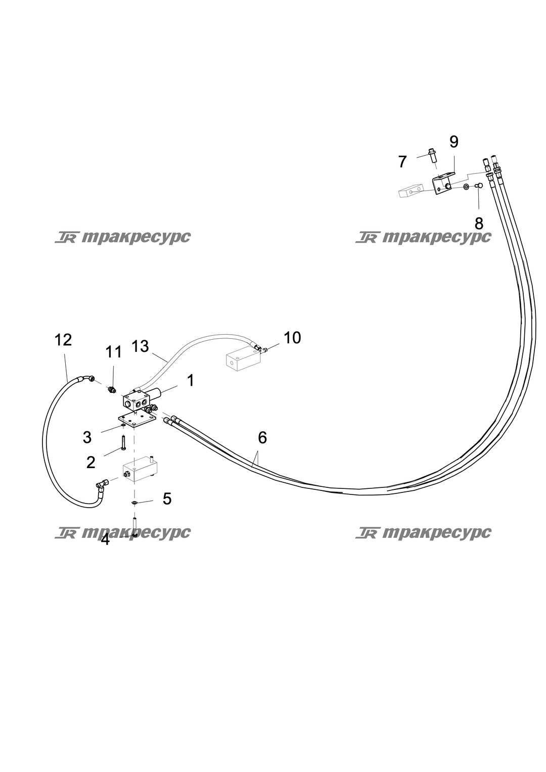 P000056162A2.png