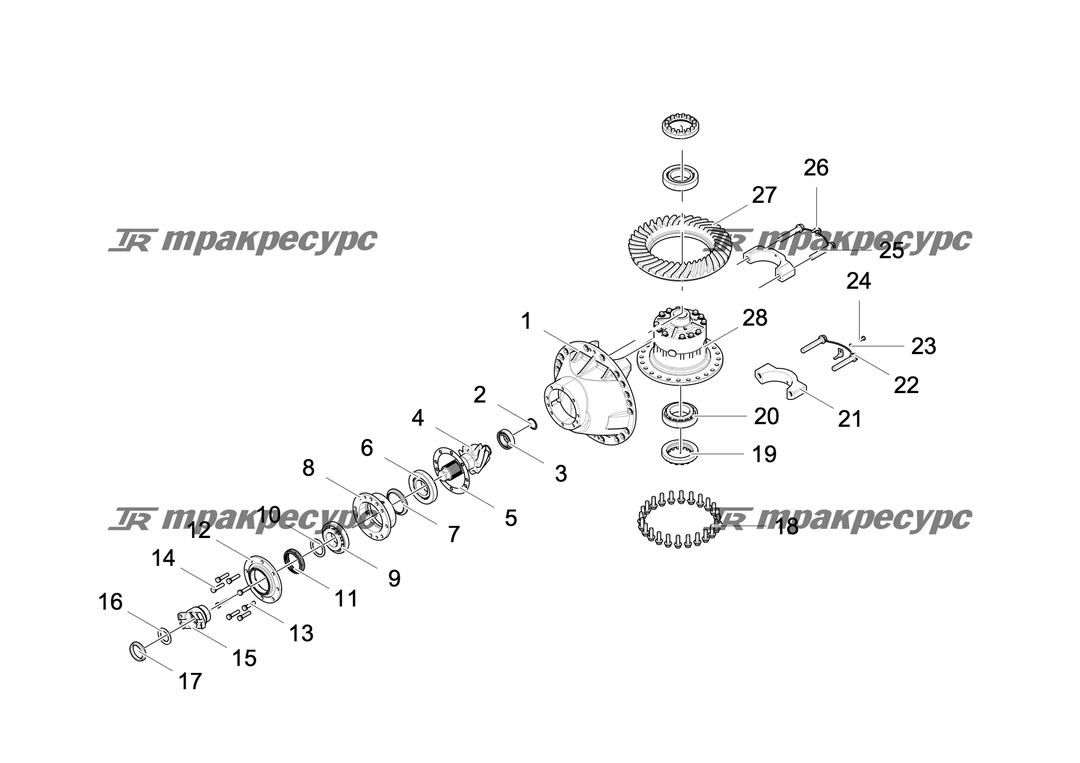 P000057842A2.png
