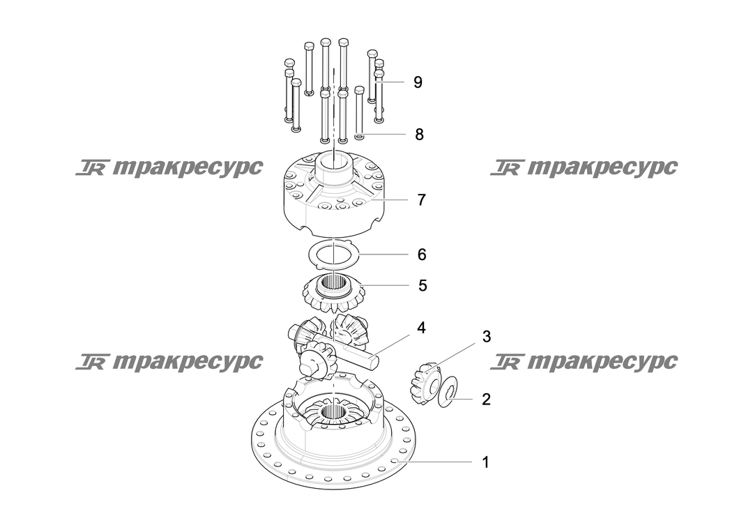 P000057843A2.png