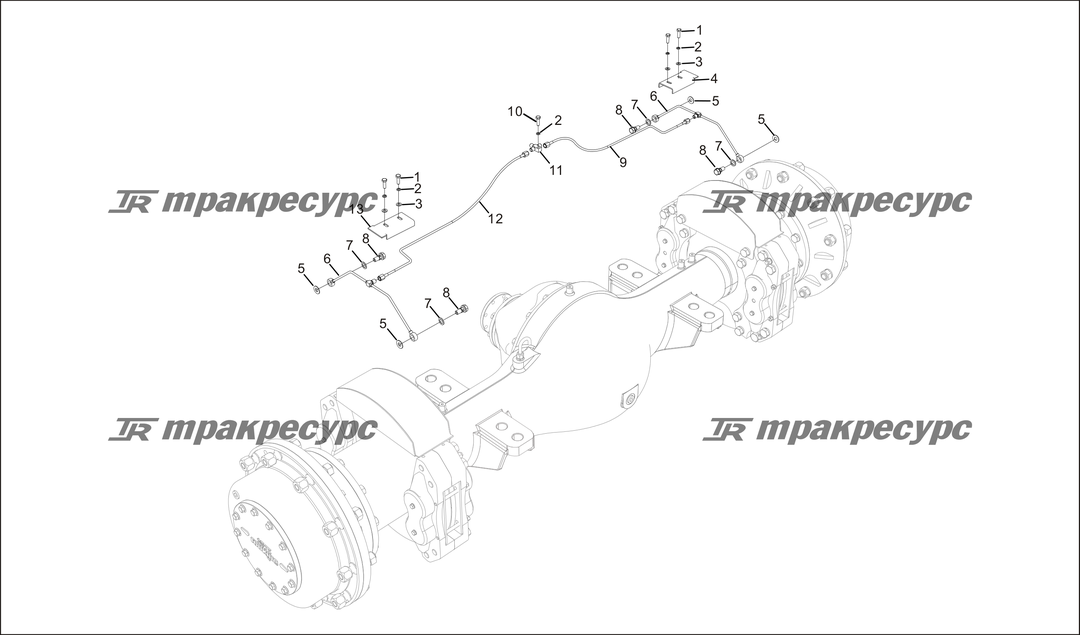 P000059.png