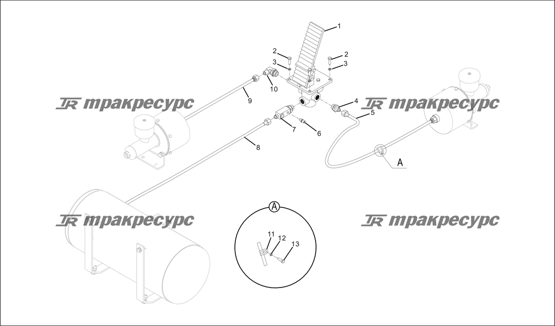 P000059.png