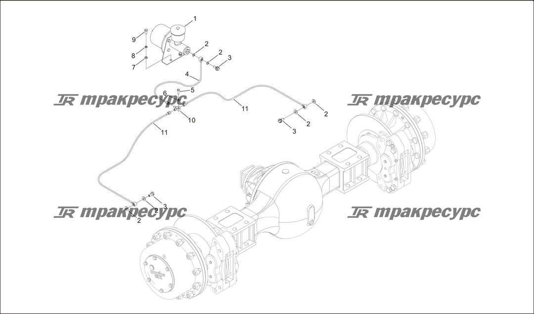 P000061.png