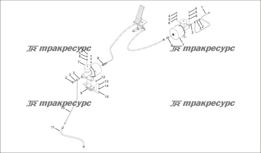 P000061.png