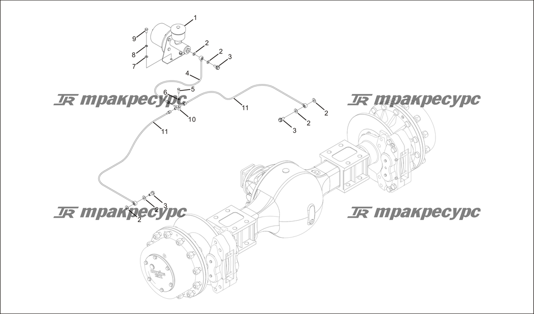 P000061.png