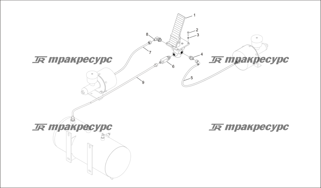 P000061.png
