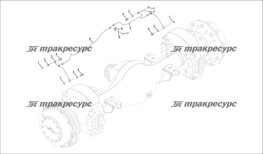 P000061.png