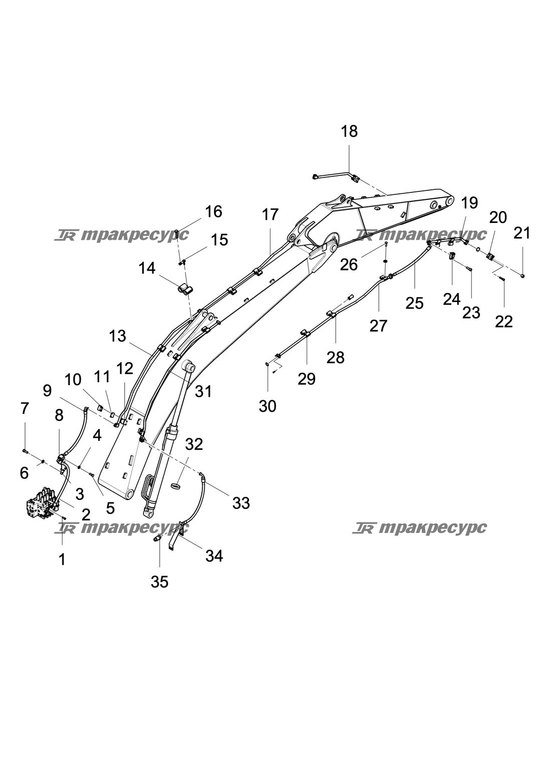 P000063582A2.png
