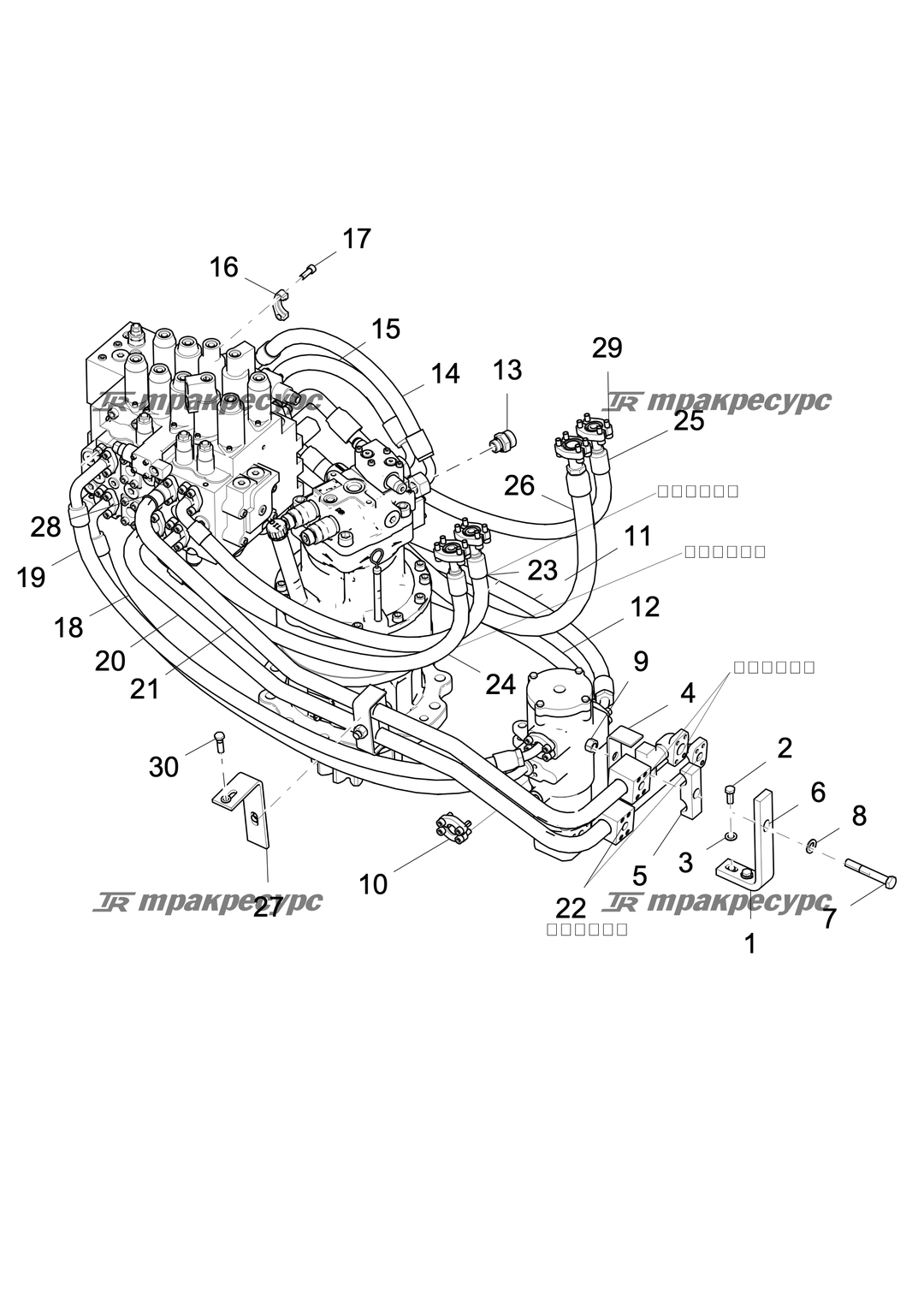 P000063643A2.png
