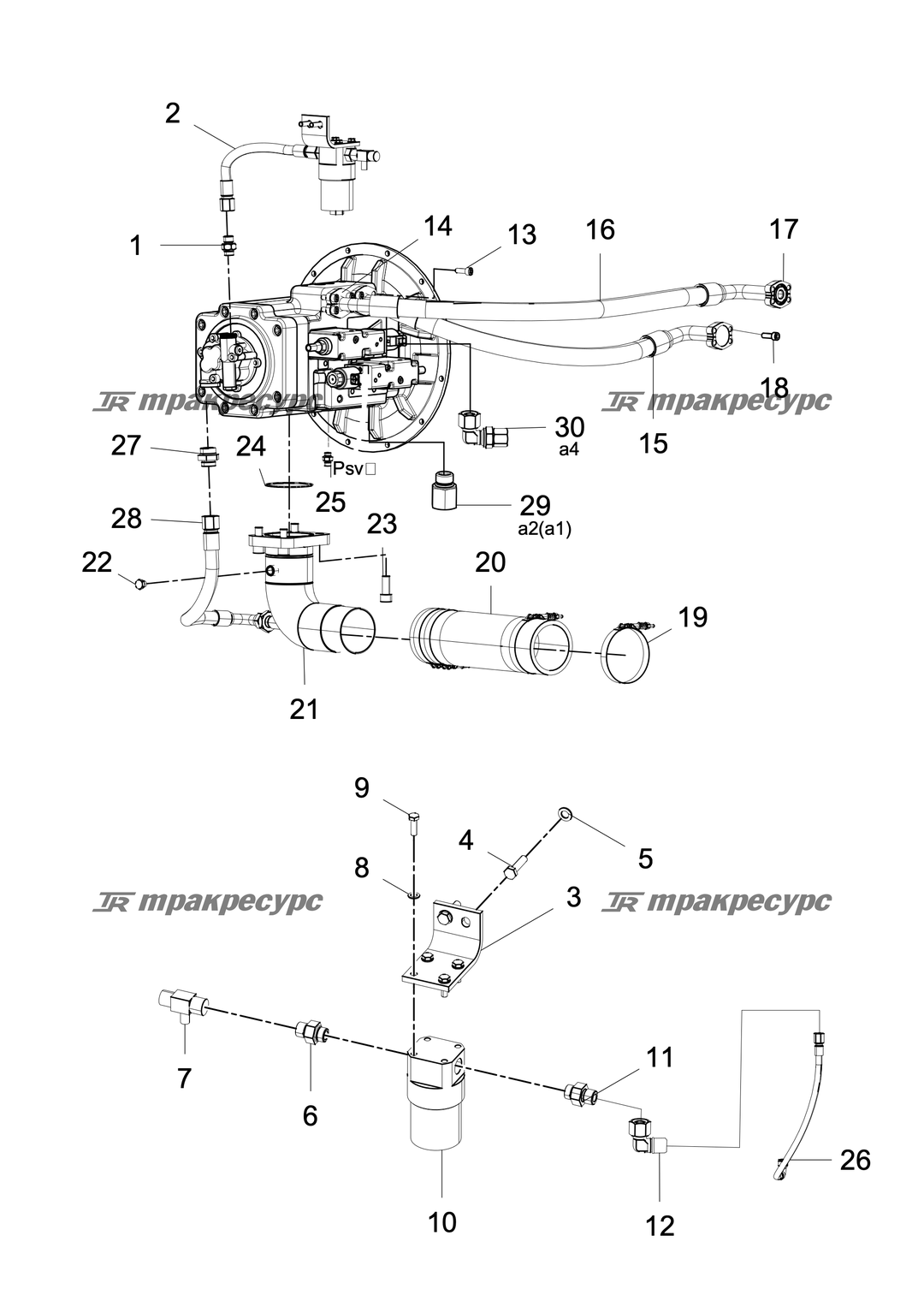 P000063646A4.png
