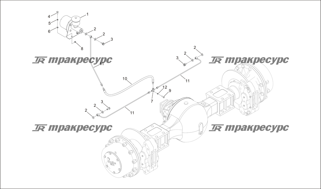 P000063.png