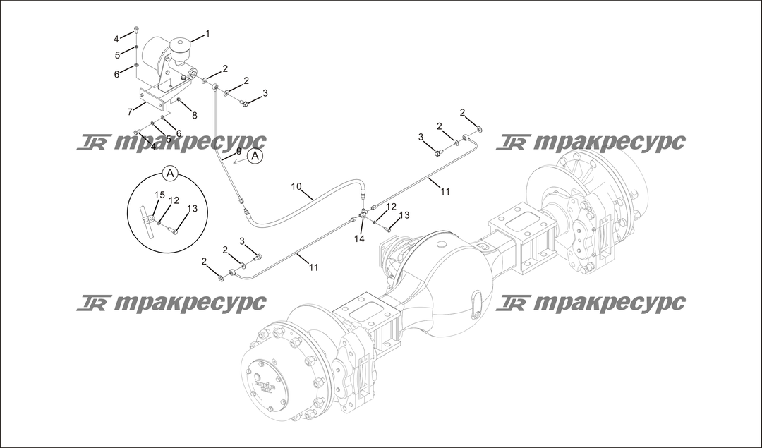 P000063.png