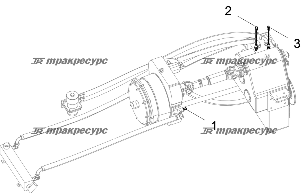 P000064226A4.png