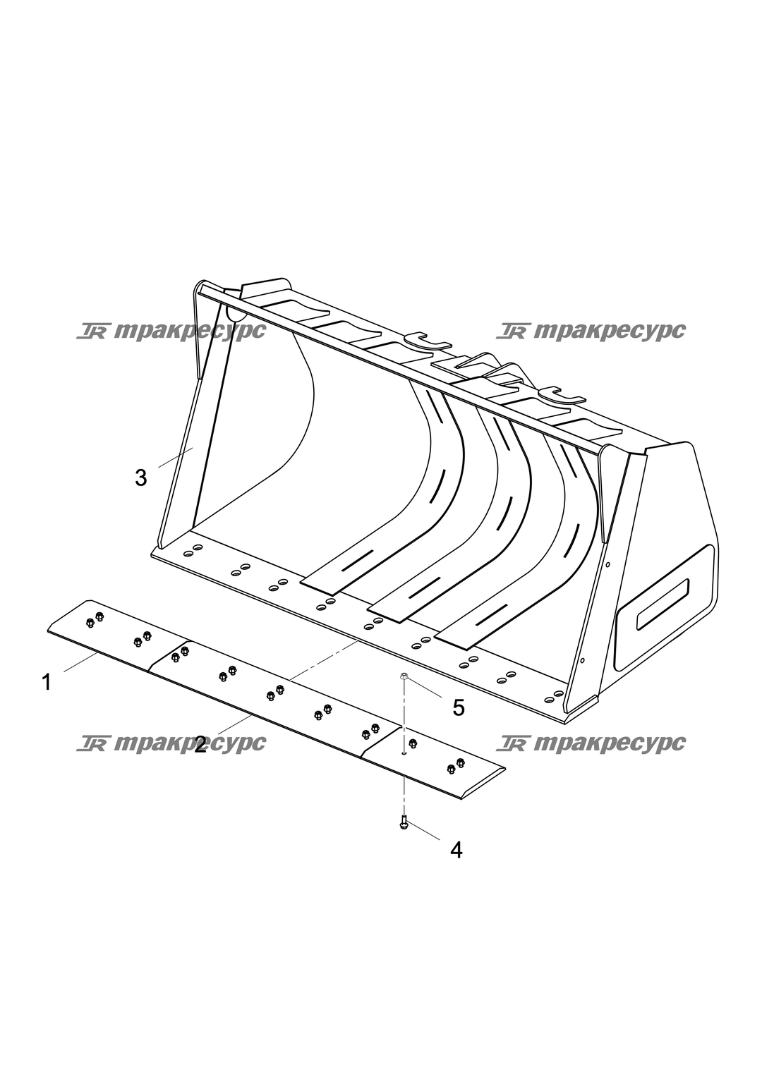 P000065502A2.png