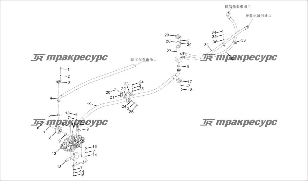 P000065.png