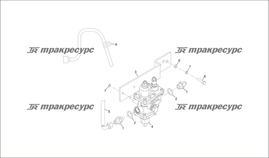 P000065.png