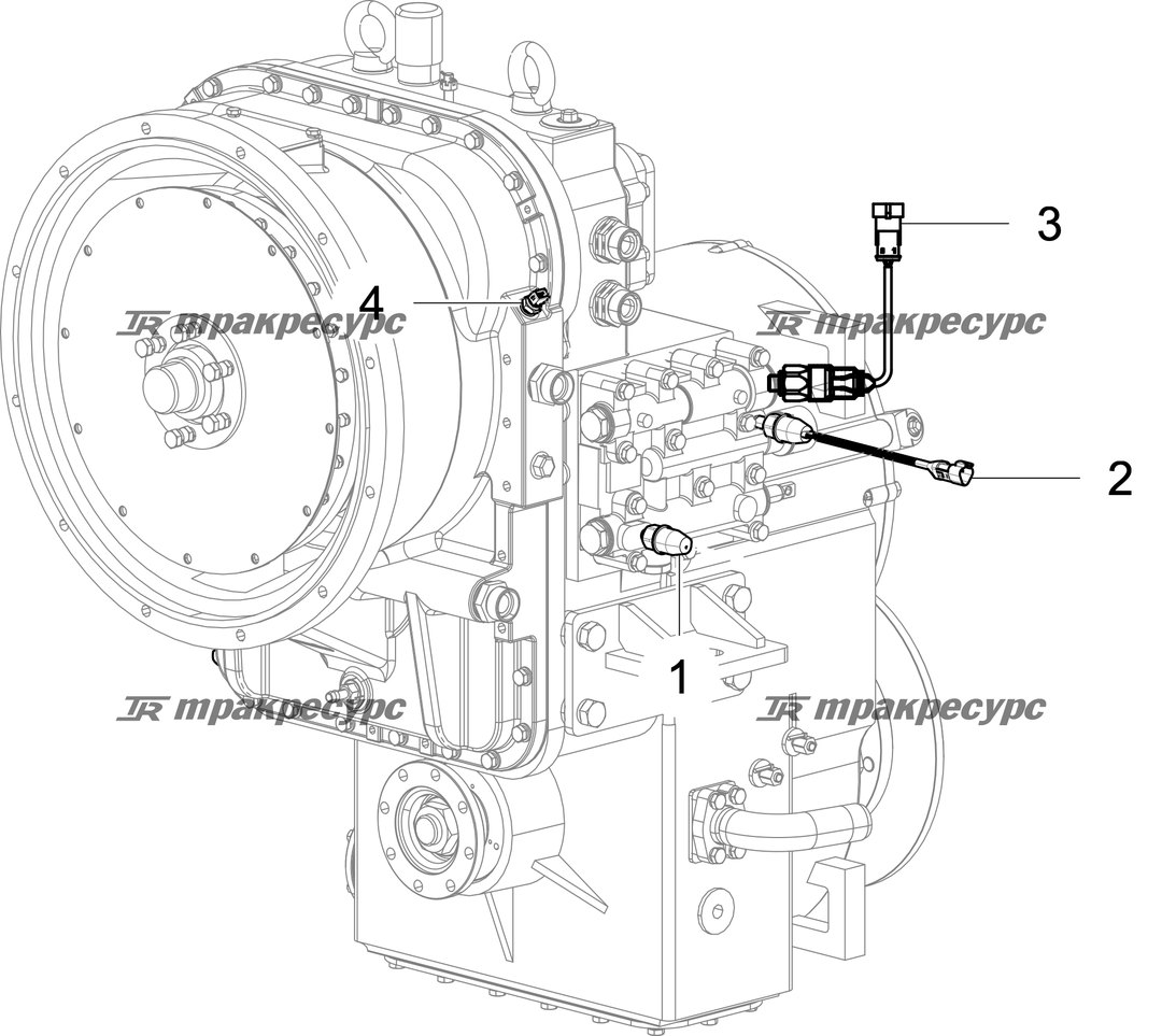 P000067146A2.png