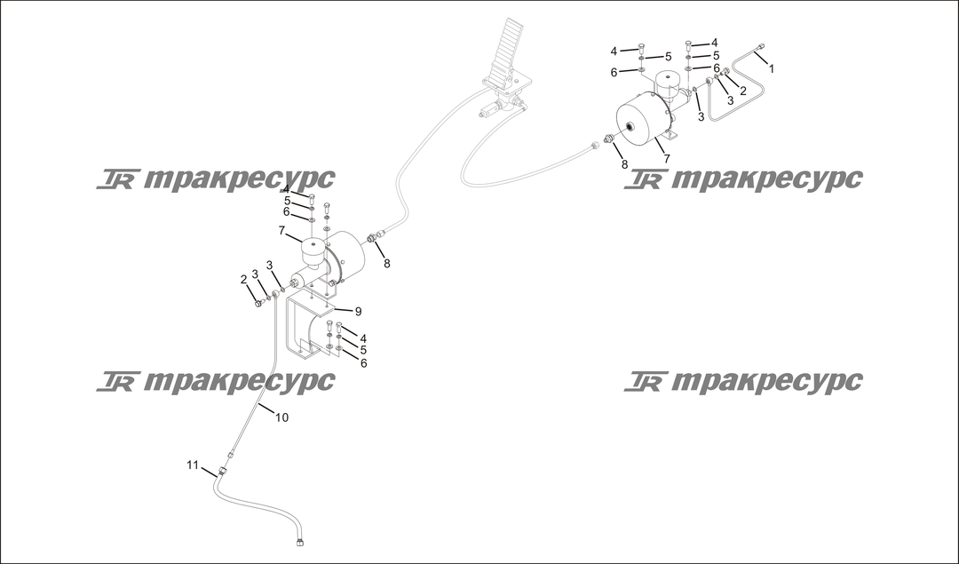 P000067.png