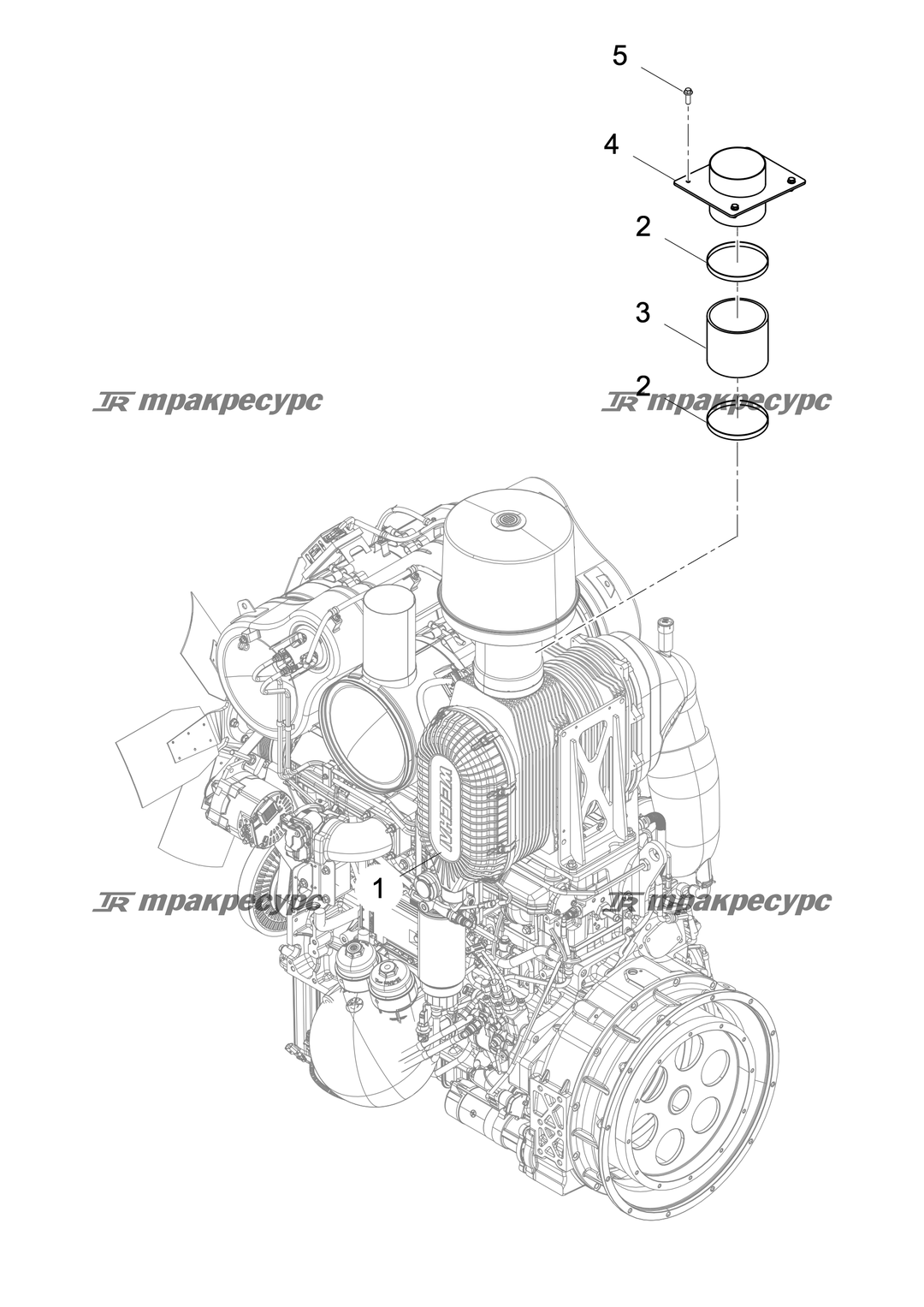 P000068983A2.png