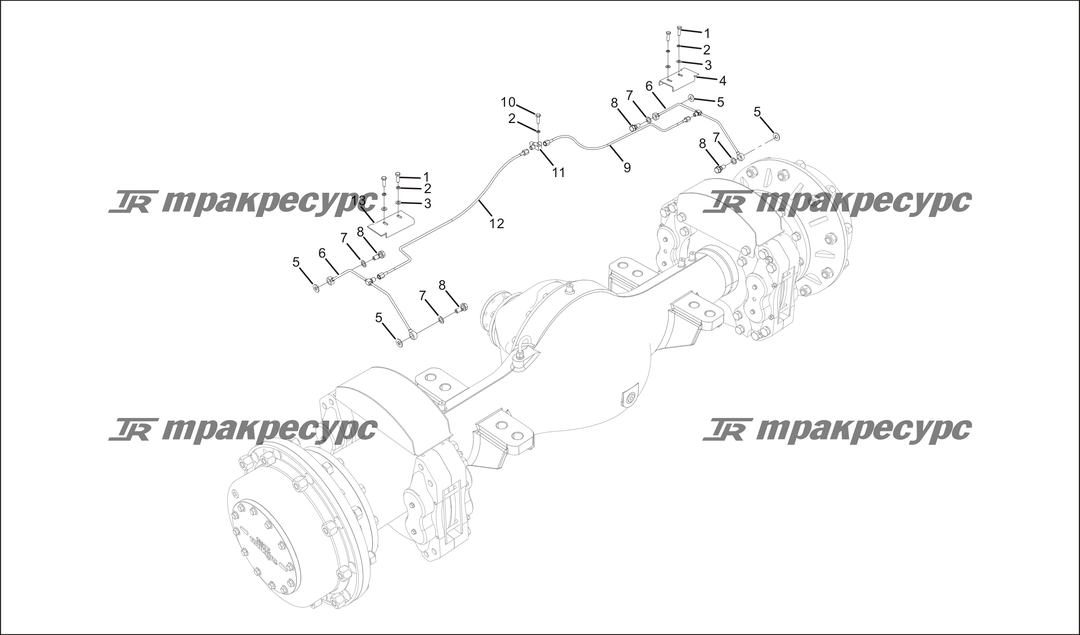 P000069.png
