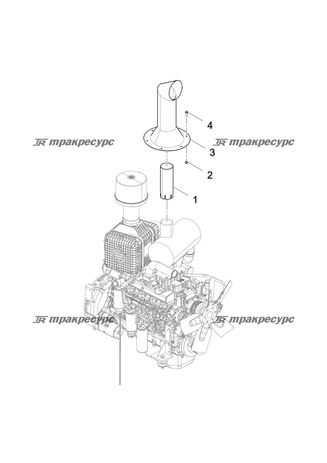 P000070782A2.png